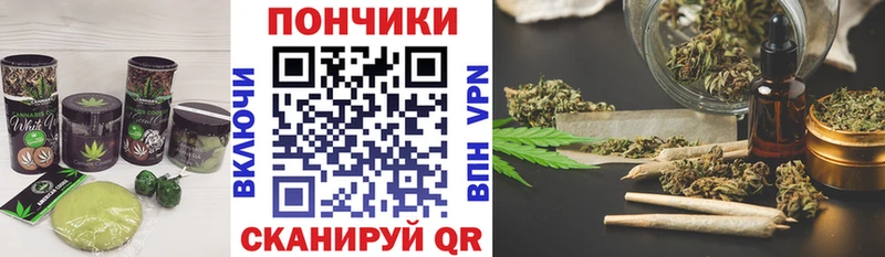 цена наркотик  Заводоуковск  Cannafood конопля 