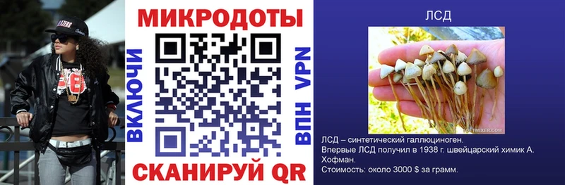 где купить наркоту  Заводоуковск  Галлюциногенные грибы мицелий 
